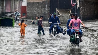 پاکستان میں مون سون بارشوں سے ہلاکتیں 240 سے تجاوز کر گئیں