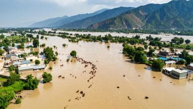 پاکستان میں مون سون کی تباہ کاریاں: ہلاکتیں 303 تک پہنچ گئیں، سینکڑوں زخمی